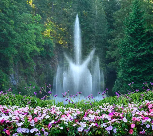 A tall water fountain sprays upward behind a bed of pink, purple, and white flowers, surrounded by dense green trees—a picturesque stop perfect for sightseeing tours.