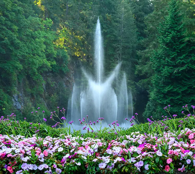 A tall water fountain sprays upward behind a bed of pink, purple, and white flowers, surrounded by dense green trees—a picturesque stop perfect for sightseeing tours.