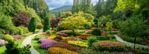 A landscaped garden with winding stone paths, colorful flower beds, green shrubs, and tall trees, set against a backdrop of forested hills under a partly cloudy sky.