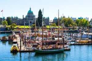 Boats are docked in a marina with green lawns and a large historic building in the background on a sunny day.
