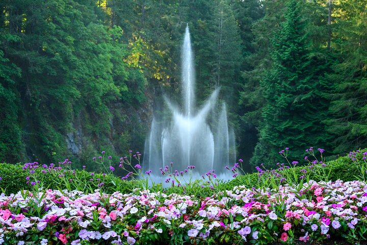 A large water fountain sprays upward in a landscaped garden, with colorful pink and purple flowers in the foreground and dense green trees in the background