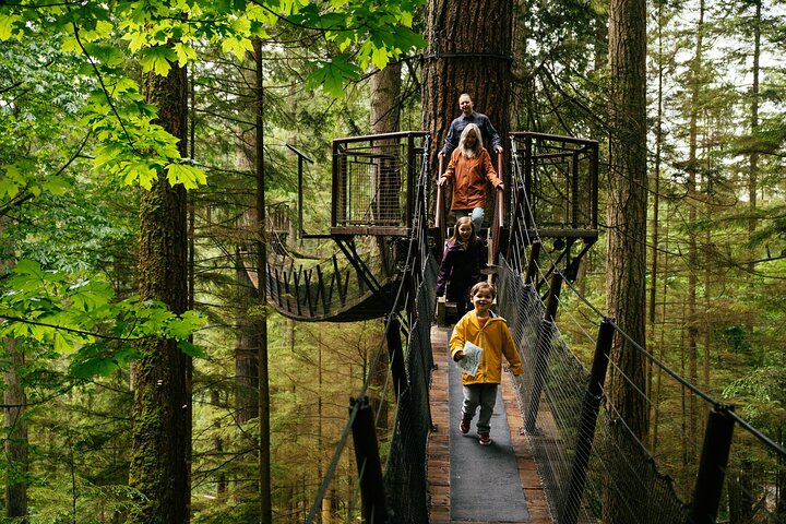 A group of people walk on a suspended bridge among tall trees in a forest, surrounded by lush greenery