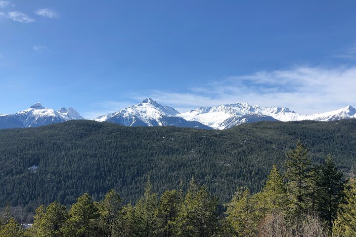 Snow-capped mountains rise above a dense forest of evergreen trees under a clear blue sky, creating an ideal backdrop for unforgettable Sightseeing Tours Whistler