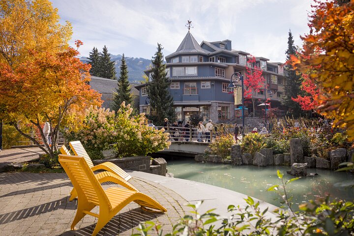 Yellow lounge chairs face a small stream and arched bridge, offering a relaxing spot to unwind after Sightseeing Tours Whistler, with a multi-story building and autumn trees in the background under a clear sky