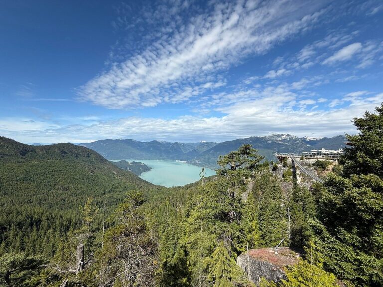 A scenic view of a forested valley with a turquoise lake, surrounded by mountains under a partly cloudy sky—perfect for sightseeing tours Whistler has to offer