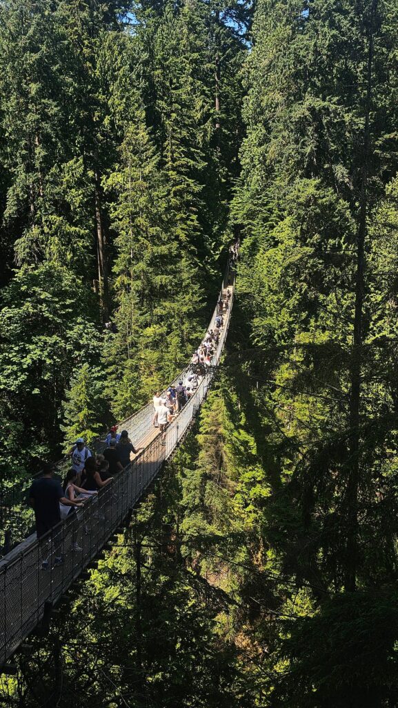 A group of people walk across a long suspension bridge surrounded by dense green forest on a sunny day.