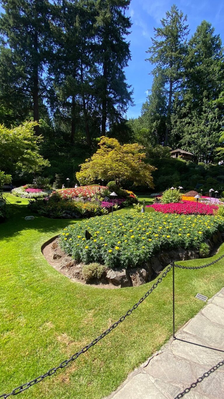 A landscaped garden with flower beds, manicured grass, and a variety of colorful flowers, bordered by trees under a clear blue sky