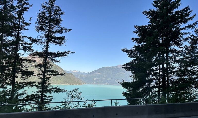 Large turquoise lake surrounded by forested mountains, viewed through tall evergreen trees from behind a roadside barrier under a clear blue sky—a breathtaking stop on Sightseeing Tours Whistler