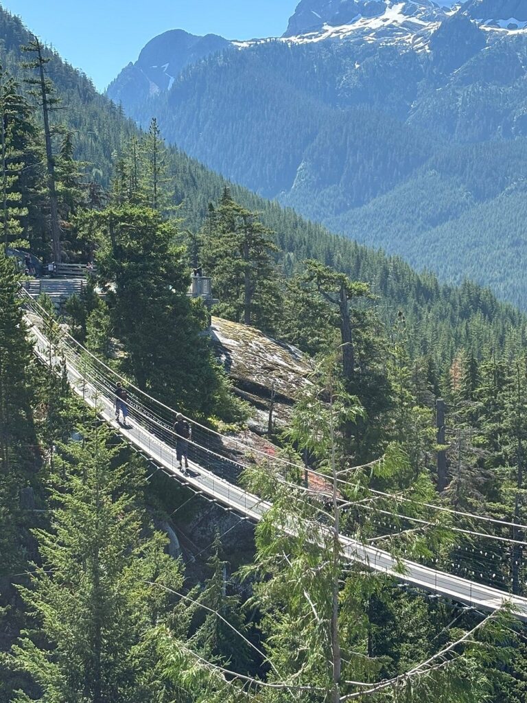 A suspension bridge stretches across a forested mountain landscape with several people walking on it under clear blue skies, making it a highlight for Sightseeing Tours Whistler