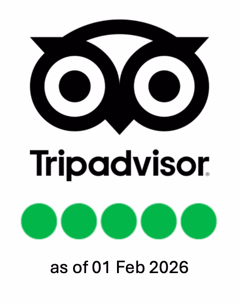 Tripadvisor logo above five green circles, with the text "as of 01 Feb 2026" below.