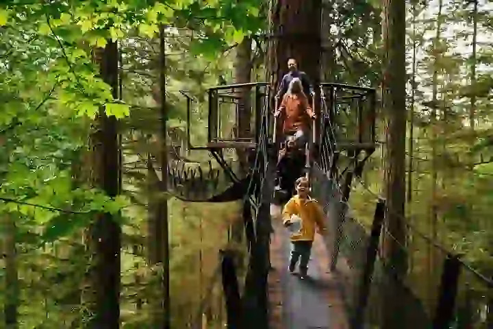Four people walk on a suspended bridge platform among tall trees in a forest canopy walkway.