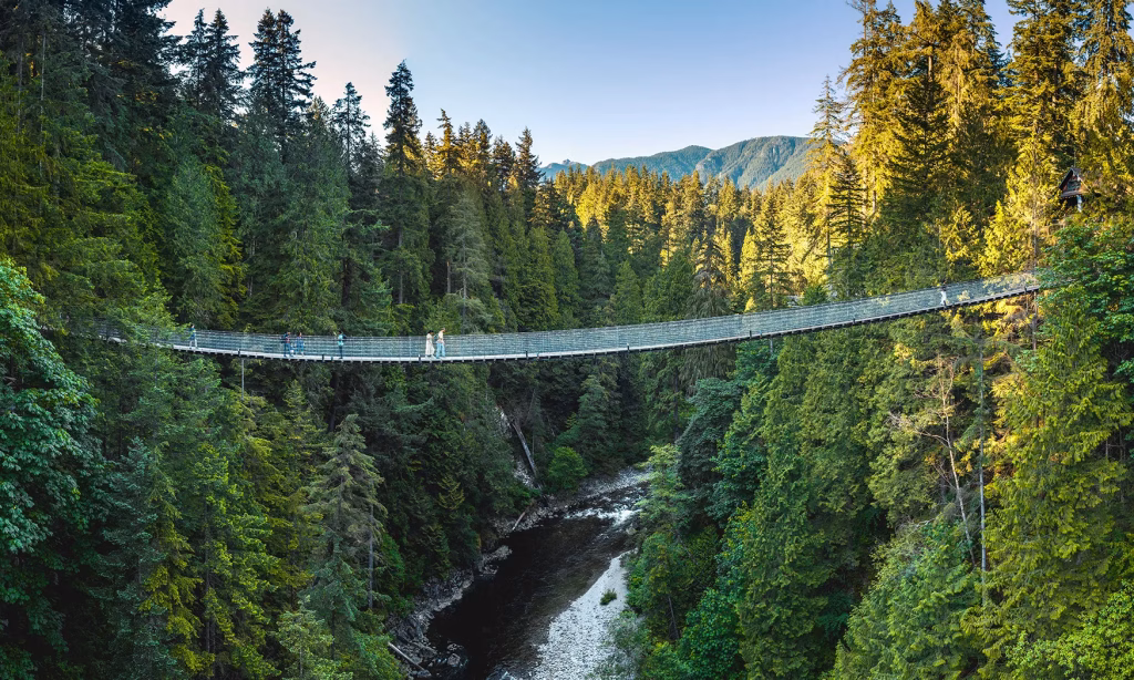 A suspension bridge spans across a forested valley with a river below, surrounded by tall evergreen trees and distant mountains under a clear sky.