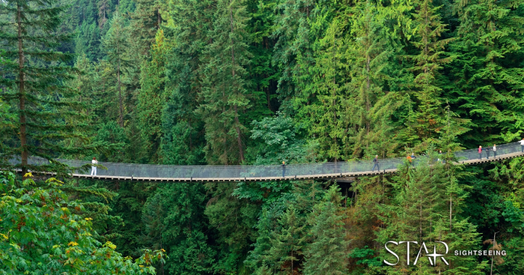 A suspension bridge with railings spans across a dense forest of tall evergreen trees. Several people are walking along the bridge. The logo "STAR SIGHTSEEING" appears in the corner.