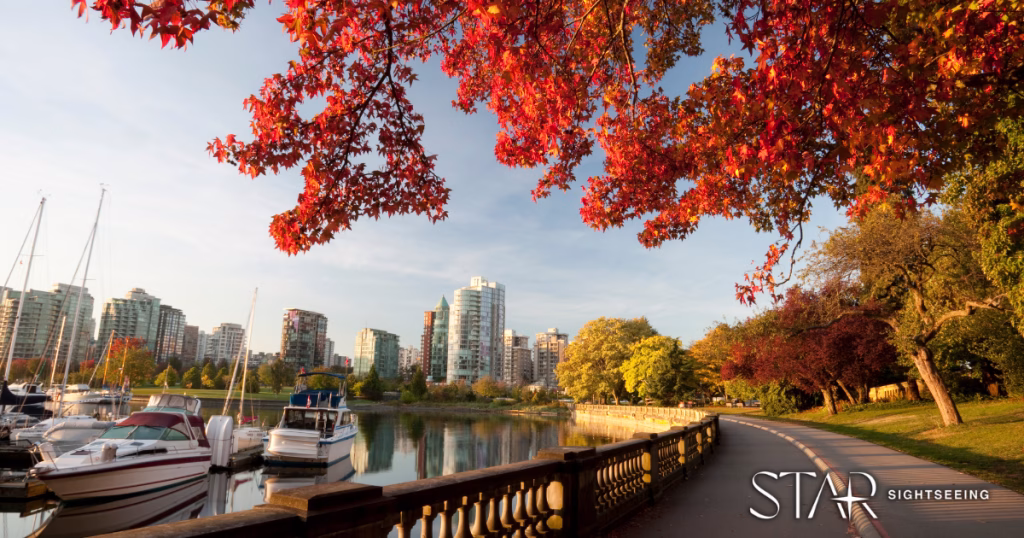 A waterfront path lined with trees in autumn, boats docked along the water, and city buildings in the background under a partly cloudy sky.