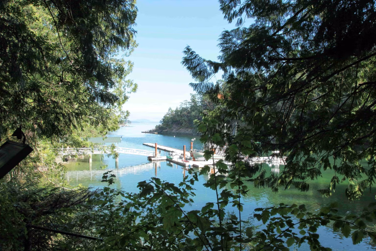 A dock with boats rests on calm water, surrounded by dense green trees and foliage—reminiscent of Butchart Gardens with Expert Local Guides—while a clear sky and distant land complete the tranquil scene.