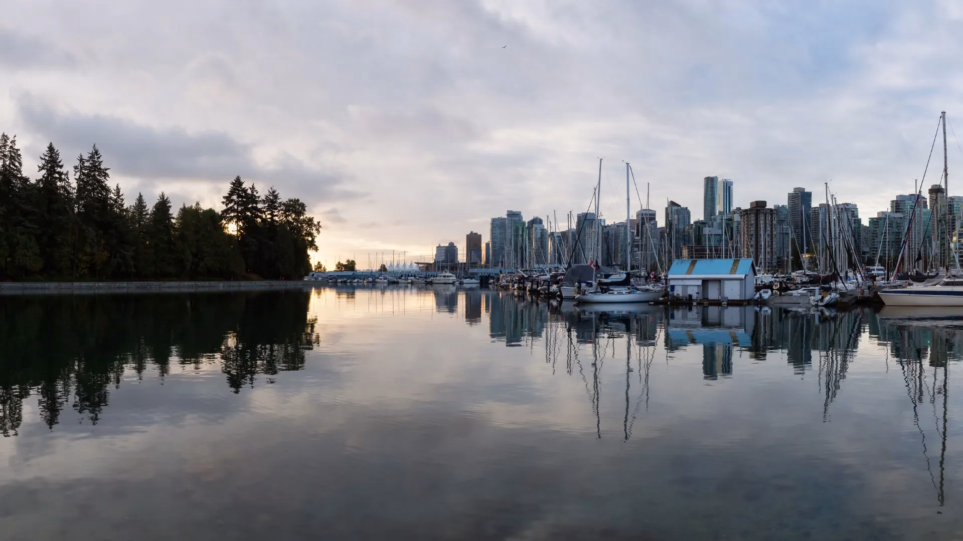 Boats docked at a marina with city skyscrapers and trees in the background, reflected on calm water under a cloudy sky