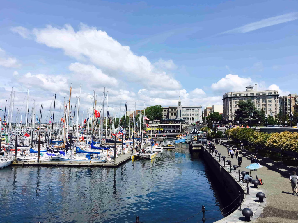 Bus and Walking Sightseeing Tour in Victoria