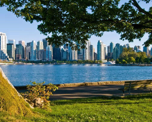 A city skyline with high-rise buildings across a body of water, seen from a park with a large tree, bench, and grassy area in the foreground.