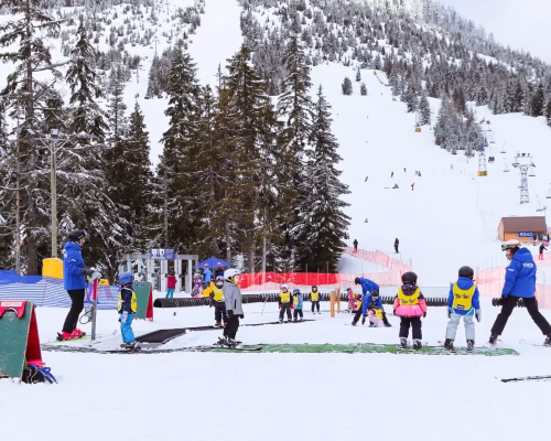 Children and instructors in colorful ski gear gather for a lesson on a snowy slope at a ski resort, with pine trees and a ski lift in the background.