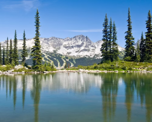 A calm lake reflects tall evergreen trees and snow-capped mountains under a clear blue sky.