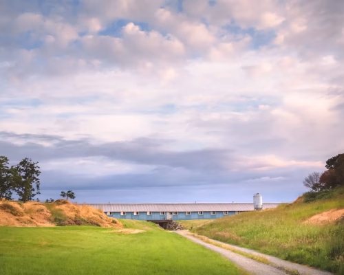 A rural landscape with a barn, a silo, grassy fields, and a dirt road under a partly cloudy sky at sunset.