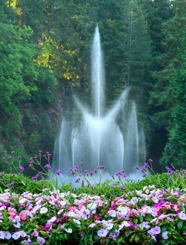 A large water fountain sprays upward in a landscaped garden, with colorful pink and purple flowers in the foreground and dense green trees in the background.