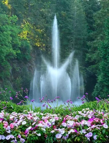 A tall water fountain surrounded by dense green trees rises behind a colorful bed of pink, purple, and white flowers.