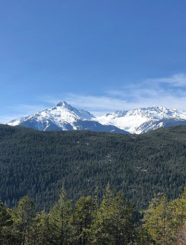 Snow-capped mountains rise above a dense forest of evergreen trees under a clear blue sky, creating an ideal backdrop for unforgettable Sightseeing Tours Whistler.
