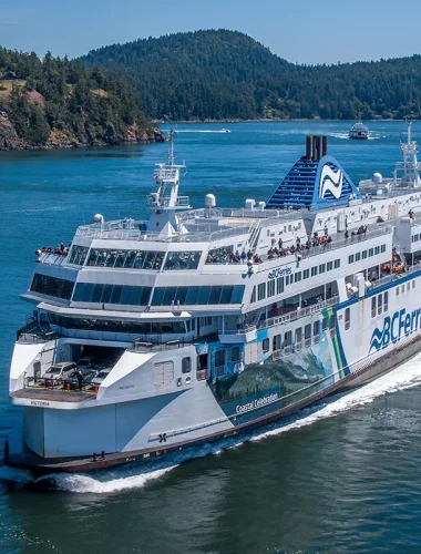 A large passenger ferry travels through calm blue water near a forested coastline under a clear sky.