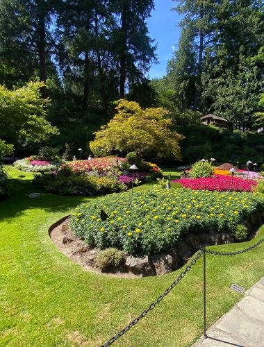 A landscaped garden with flower beds, manicured grass, and a variety of colorful flowers, bordered by trees under a clear blue sky.