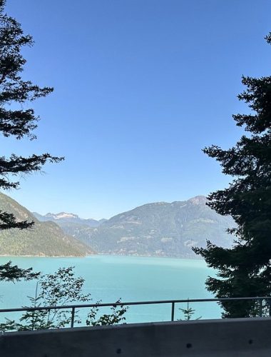 Large turquoise lake surrounded by forested mountains, viewed through tall evergreen trees from behind a roadside barrier under a clear blue sky—a breathtaking stop on Sightseeing Tours Whistler.