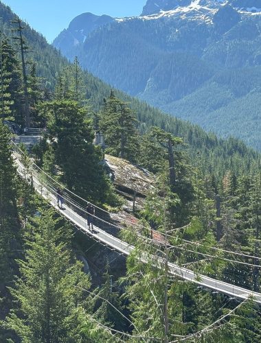 A suspension bridge stretches across a forested mountain landscape with several people walking on it under clear blue skies, making it a highlight for Sightseeing Tours Whistler.