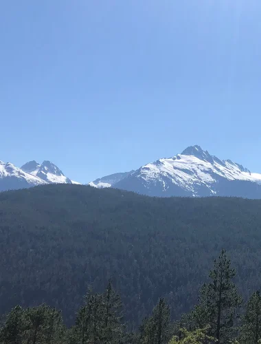 Snow-capped mountains rise above a dense forest under a clear blue sky on a sunny day.