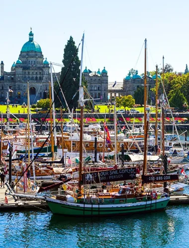Boats are docked in a marina with green lawns and a large historic building in the background on a sunny day.